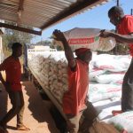 a group of men loading sacks on a truck